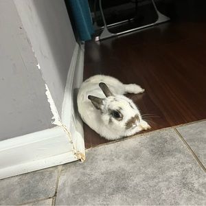 Meet your Posher, Sebastian